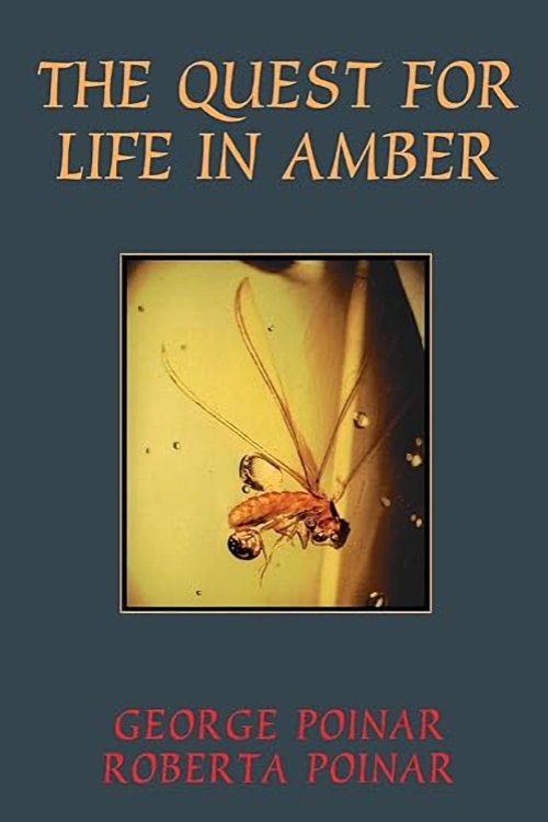 Quest for life in amber